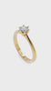 #cor_ouro amarelo
